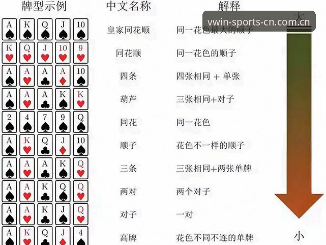 德赢体育安全吗？新手入门前的全方面详解